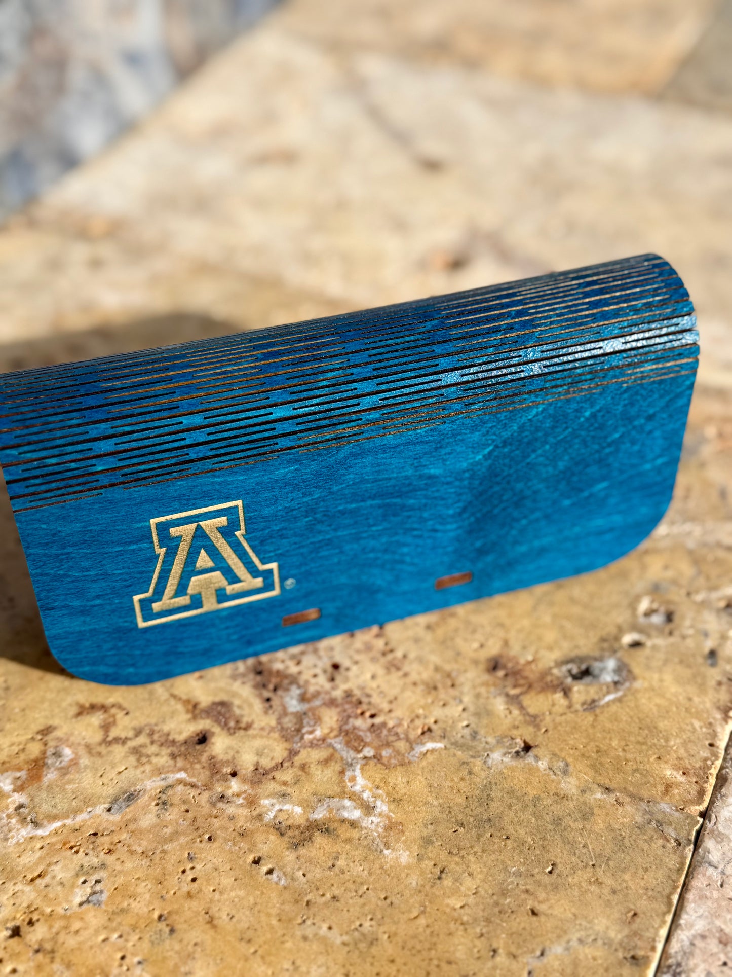 Vintage Cactus Logo Glasses Case